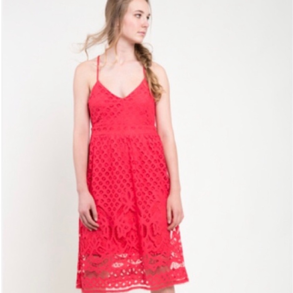 NWT V Neck Lace dress in poppy red